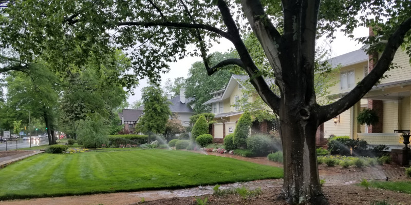 Irrigation in Carrboro, North Carolina