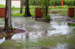 Signs that You May Need Yard Re-Grading