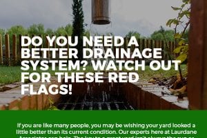 Do You Need a Better Drainage System? Watch Out for These Red Flags! [infographic]
