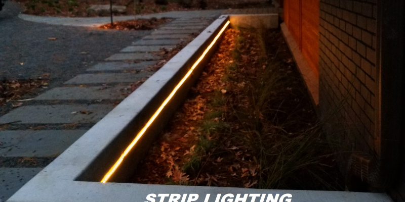 Accent Lighting in Carrboro, North Carolina