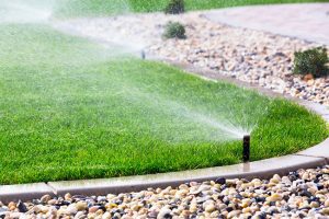 What You Need to Know About Home Irrigation