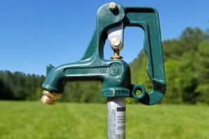 Is Your Irrigation System Ready for Spring?