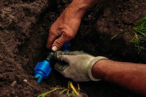 5 Design Elements of a Home Irrigation System