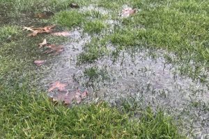 3 Things You Didn’t Know About French Drains