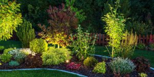 How to Decide Where to Place Your Outdoor Accent Lighting