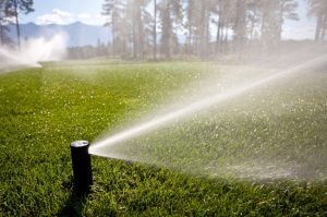 Three Signs to Schedule Irrigation Repair Services