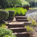 Irrigation Troubleshooting in Raleigh, North Carolina
