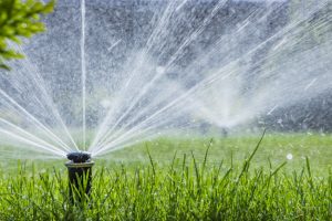 Why Neglecting Lawn Sprinkler Repair Costs You