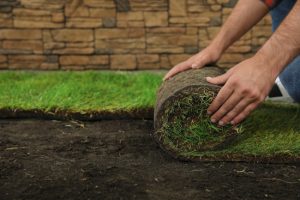 Reasons to Use Professional Sod Installation Services
