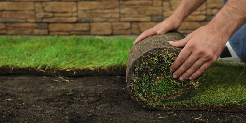 Reasons to Use Professional Sod Installation Services