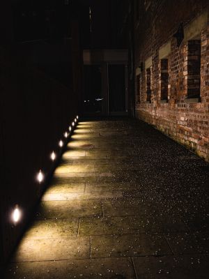 How to Tell if Your Path Lighting Needs Repair