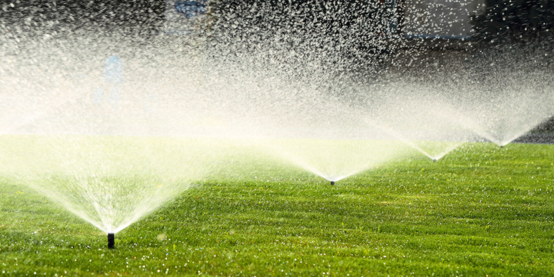 Reasons to Add a Home Irrigation System to Your Property