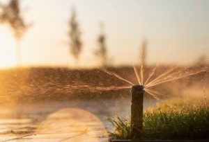 Everything You Need to Know About Installing New Sprinkler Systems