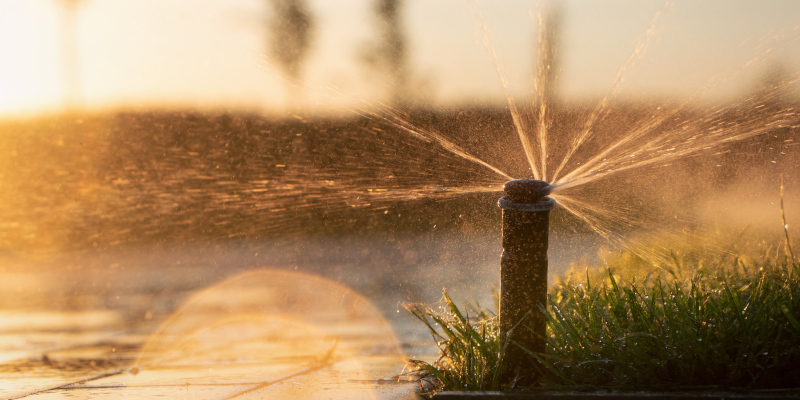 Everything You Need to Know About Installing New Sprinkler Systems