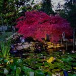 Fountain Maintenance