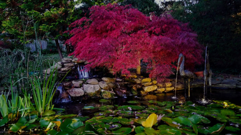Fountain Maintenance in Raleigh, North Carolina