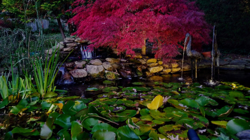 Water Features in Raleigh, North Carolina
