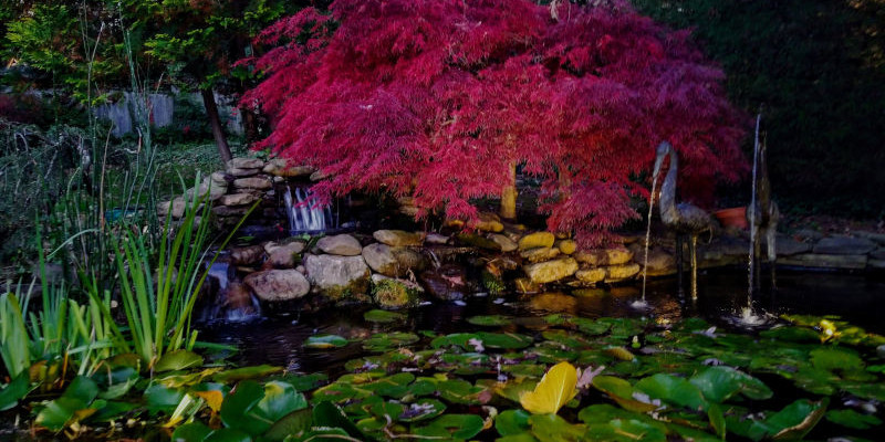 Fountain Repair in Raleigh, North Carolina