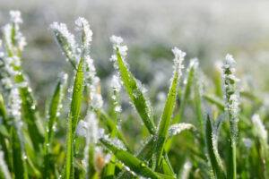 Why Irrigation Winterization Is Important Before the First Cold Snap