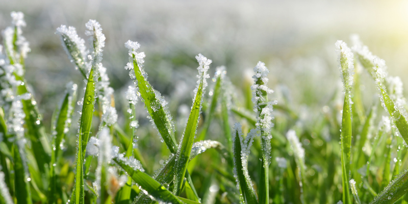 Why Irrigation Winterization Is Important Before the First Cold Snap