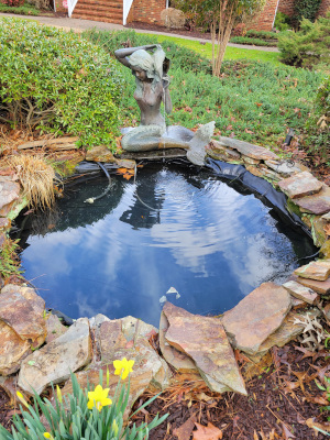 Ponds in Raleigh, North Carolina 